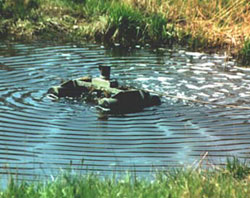 Sickerwasseranlage