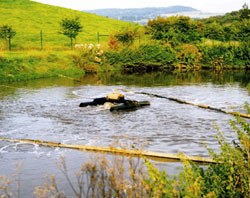 Teichkläranlage